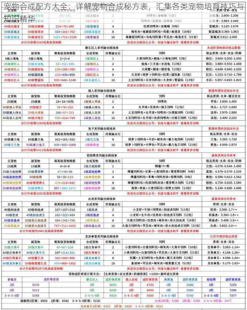 宠物合成配方大全：详解宠物合成秘方表，汇集各类宠物培育技巧与知识精华