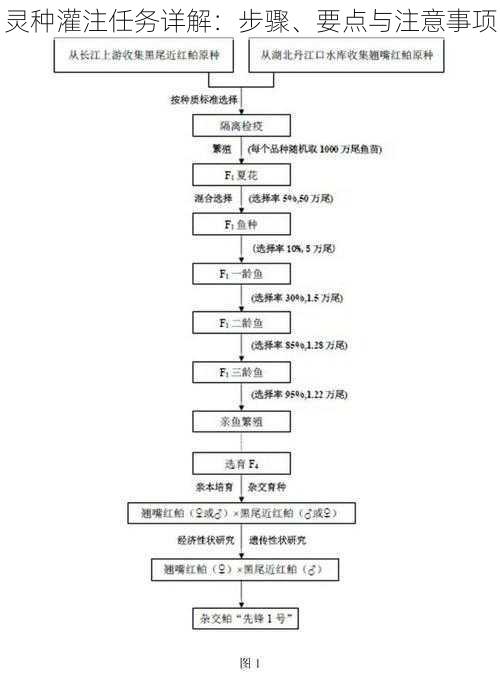 灵种灌注任务详解：步骤、要点与注意事项