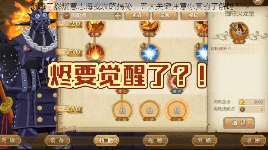 航海王燃烧意志海战攻略揭秘：五大关键注意你真的了解吗？