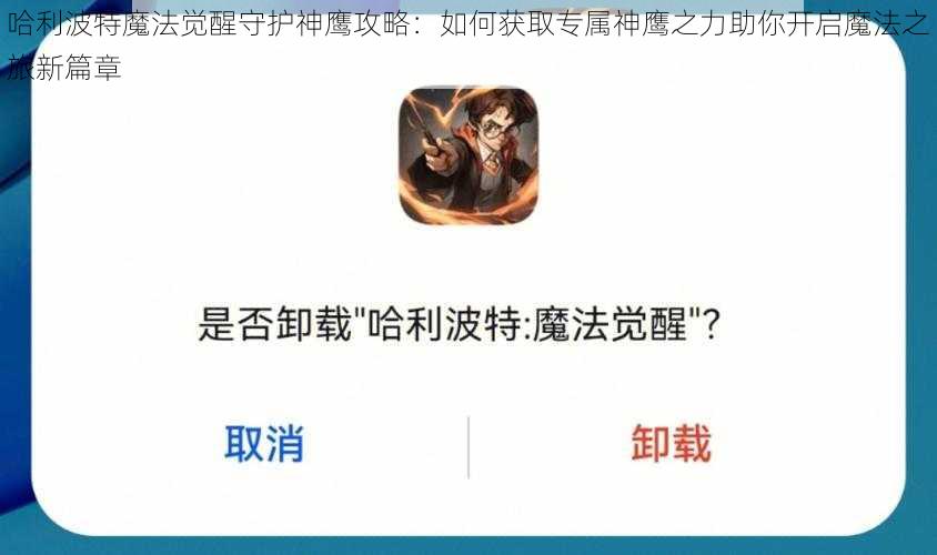 哈利波特魔法觉醒守护神鹰攻略：如何获取专属神鹰之力助你开启魔法之旅新篇章