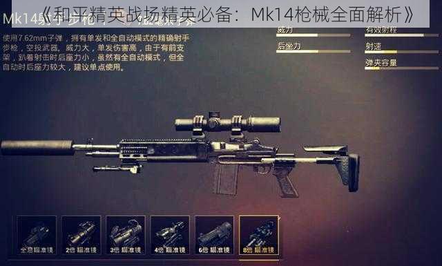 《和平精英战场精英必备：Mk14枪械全面解析》