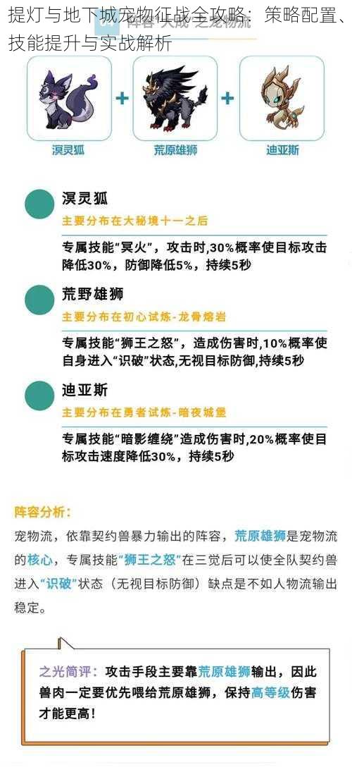 提灯与地下城宠物征战全攻略：策略配置、技能提升与实战解析