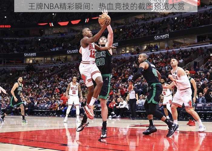 王牌NBA精彩瞬间：热血竞技的截图预览大赏