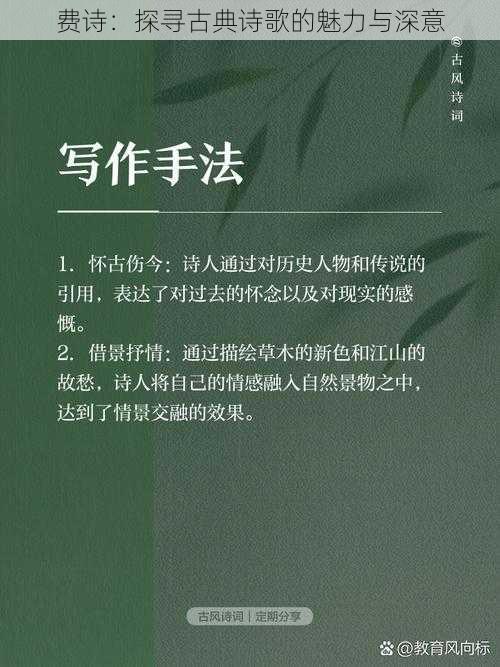 费诗：探寻古典诗歌的魅力与深意