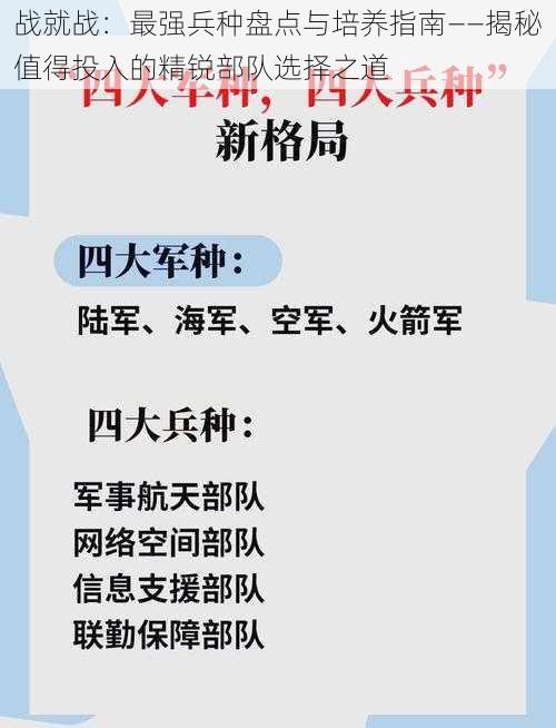 战就战：最强兵种盘点与培养指南——揭秘值得投入的精锐部队选择之道