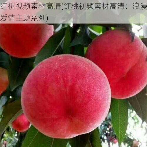 红桃视频素材高清(红桃视频素材高清:浪漫爱情主题系列)