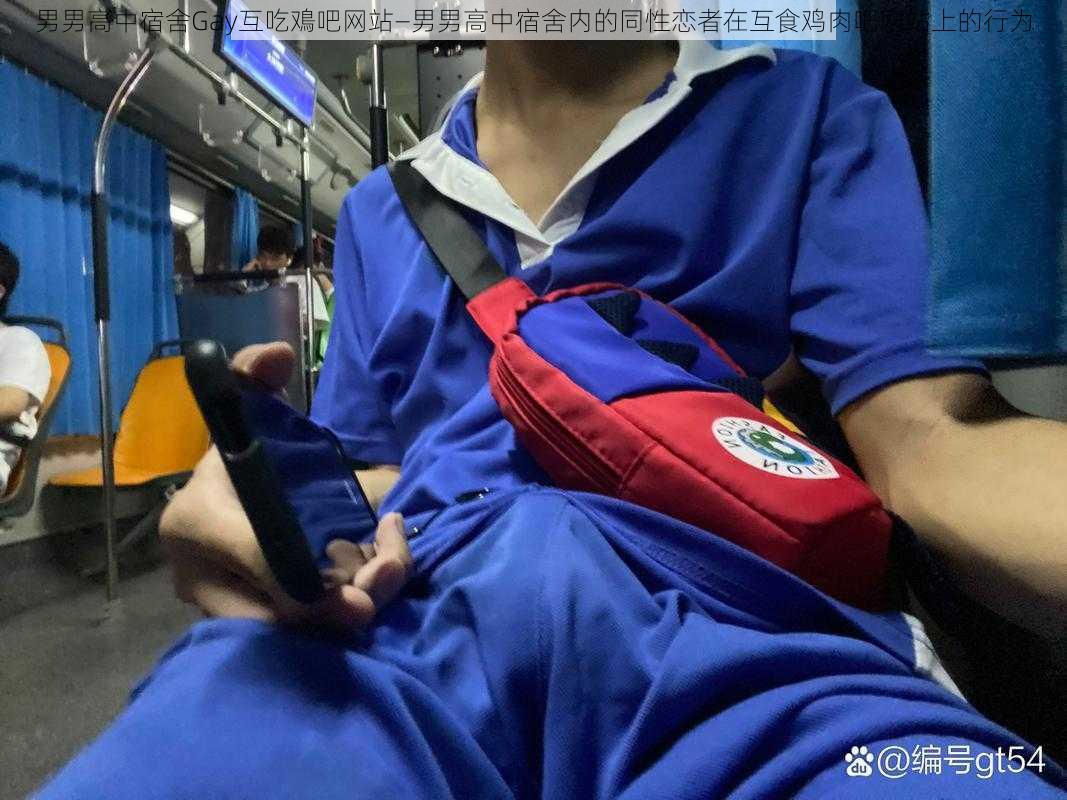 男男高中宿舍Gay互吃鳮吧网站—男男高中宿舍内的同性恋者在互食鸡肉吧网站上的行为